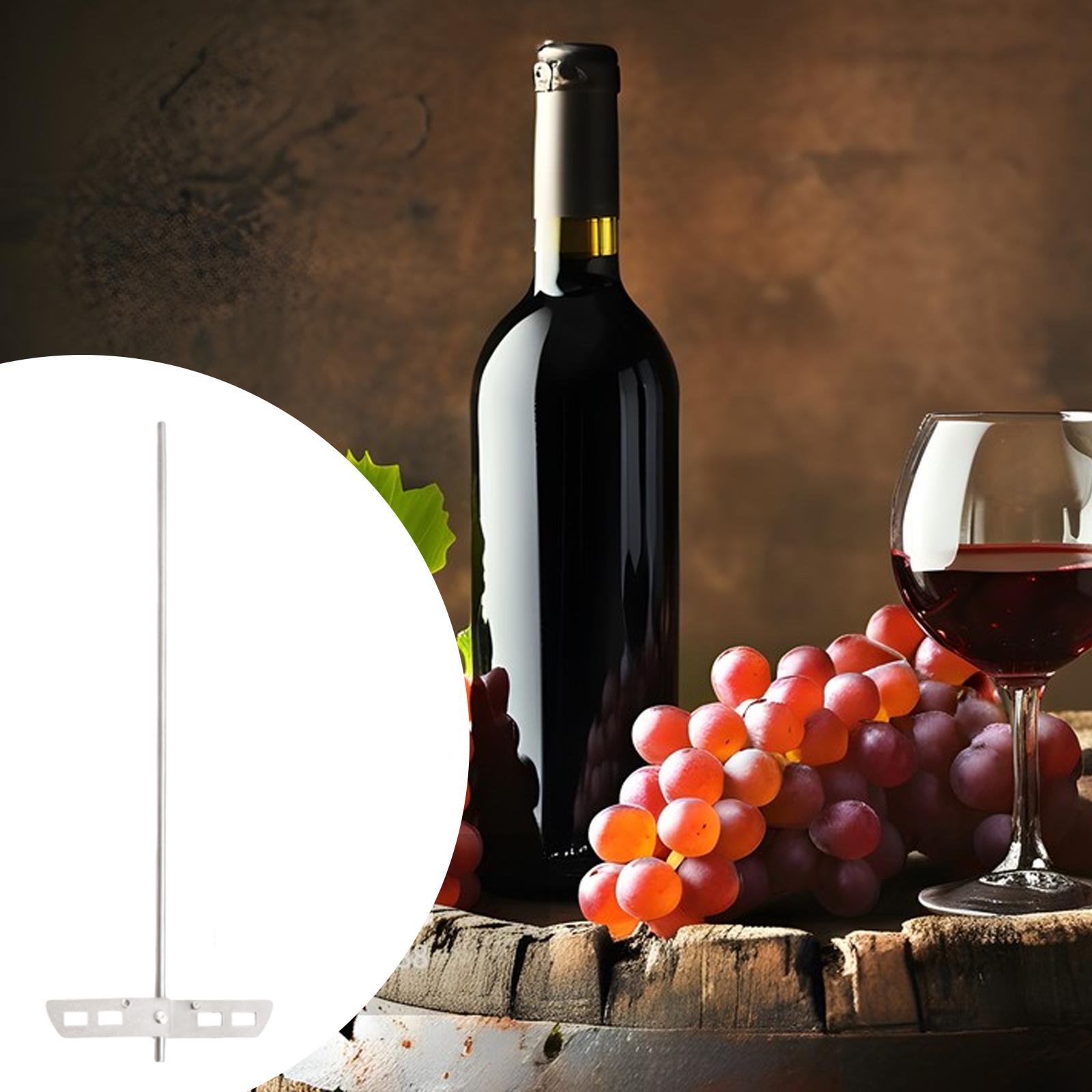 Высокоэффективная дегазационна – обзор и цена Wine Mix With Beer